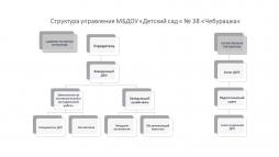 Управление ДОУ осуществляется в соответствии с законодательством Российской Федерации с учетом особенностей, установленных Законом об образовании. Управление ДОУ осуществляется на основе сочетания принципов единоначалия и коллегиальности.